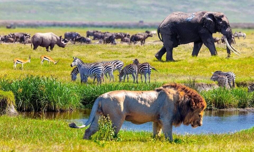 tanzania 2