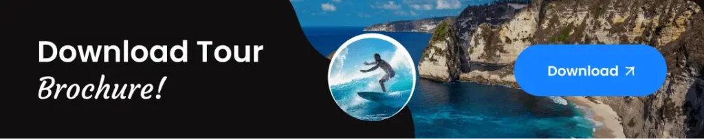 package dt brochure download img